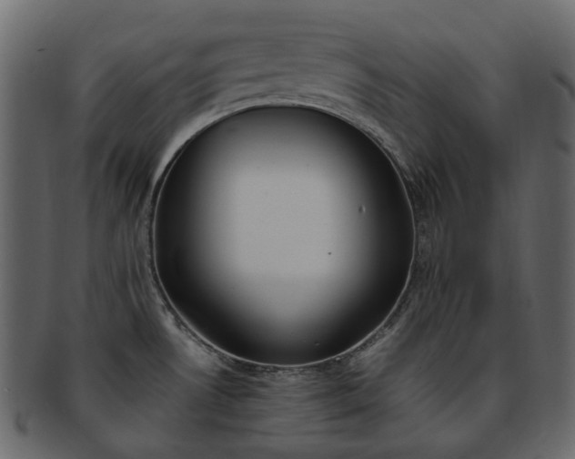 X0000093391530200710191144