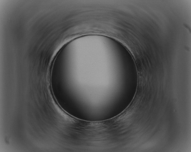 X0000093391531200710191144