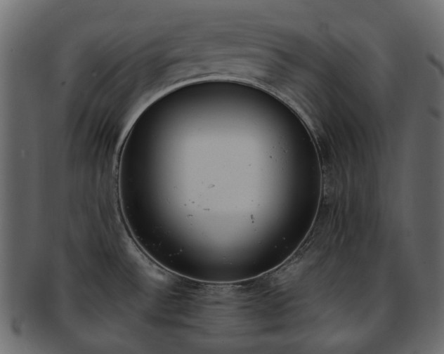 X0000093391532200710191144