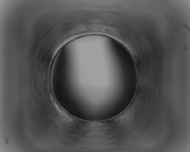 X0000093391534200710191144