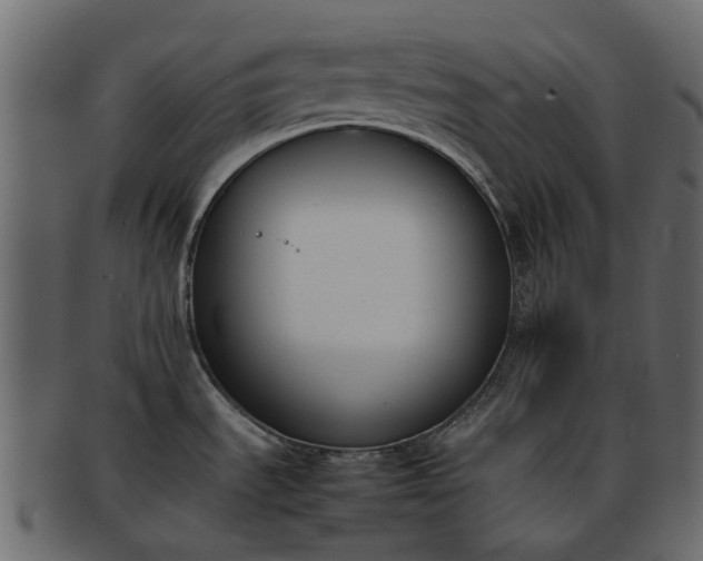 X0000093391535200710191144