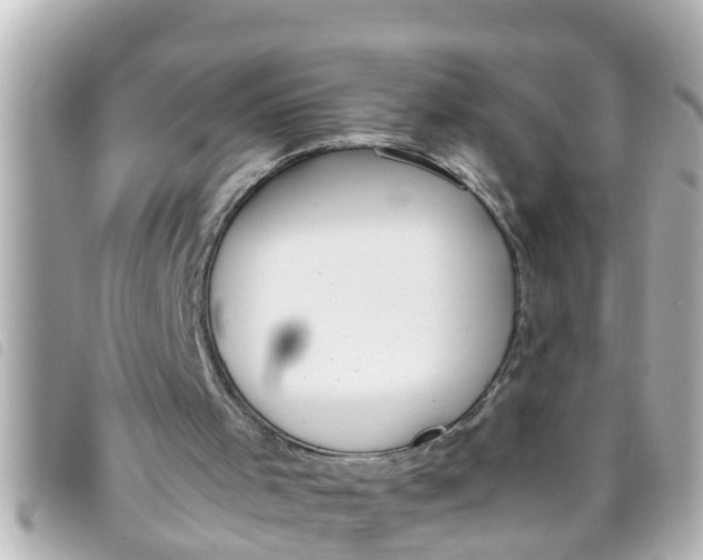 X0000093390001200710251251