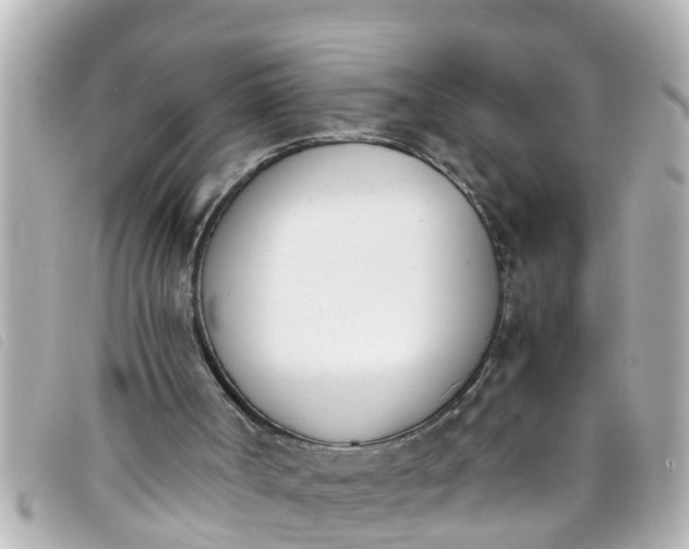 X0000093390002200710251251