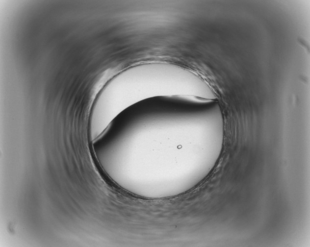 X0000093390003200710251251