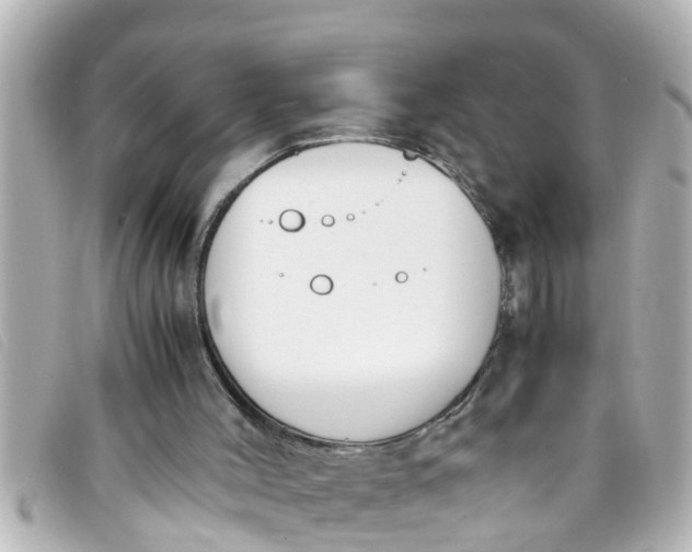 X0000093390004200710251251