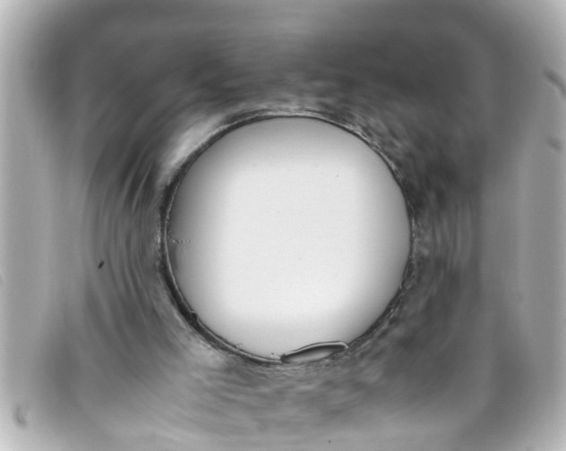 X0000093390005200710251251