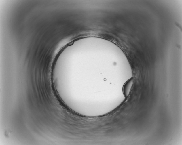 X0000093390006200710251251