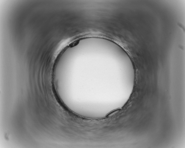 X0000093390007200710251251