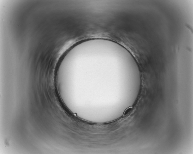 X0000093390008200710251251