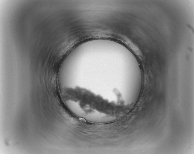 X0000093390009200710251251