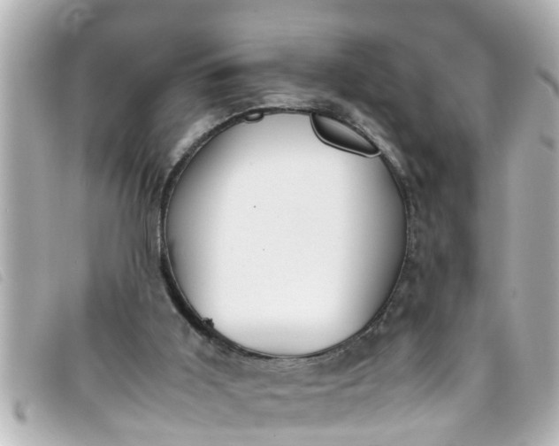 X0000093390011200710251251