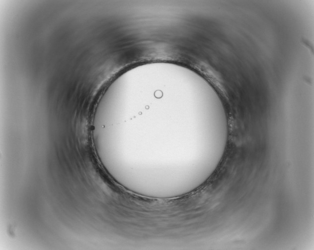 X0000093390012200710251251