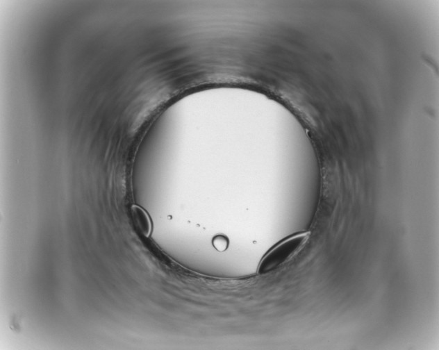 X0000093390015200710251251