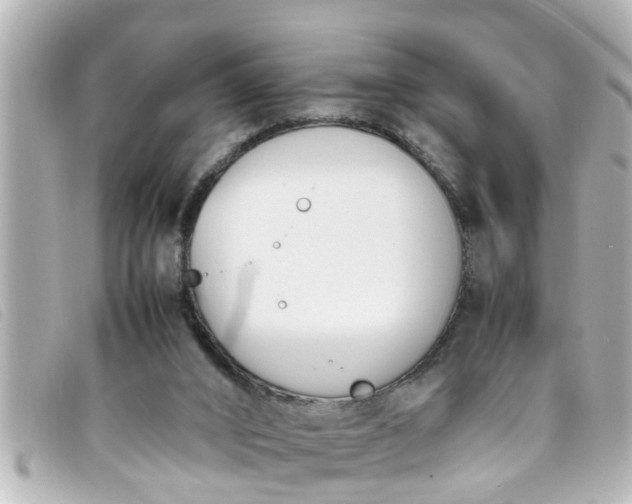 X0000093390016200710251251