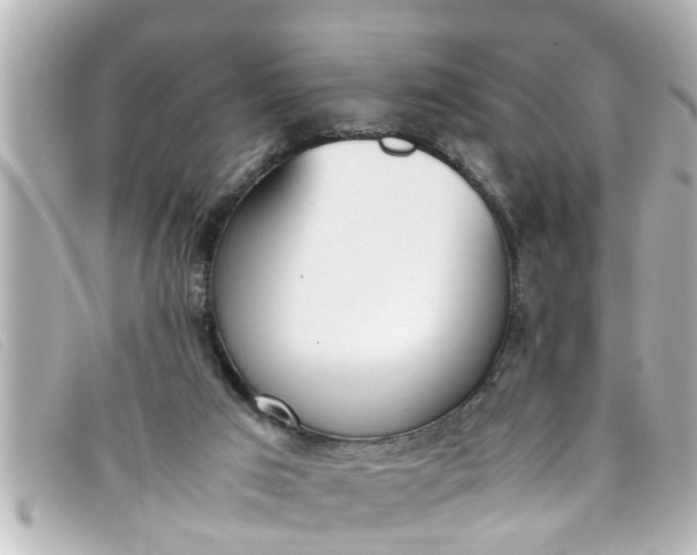 X0000093390017200710251251