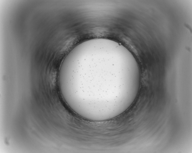 X0000093390018200710251251