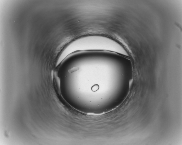 X0000093390019200710251251