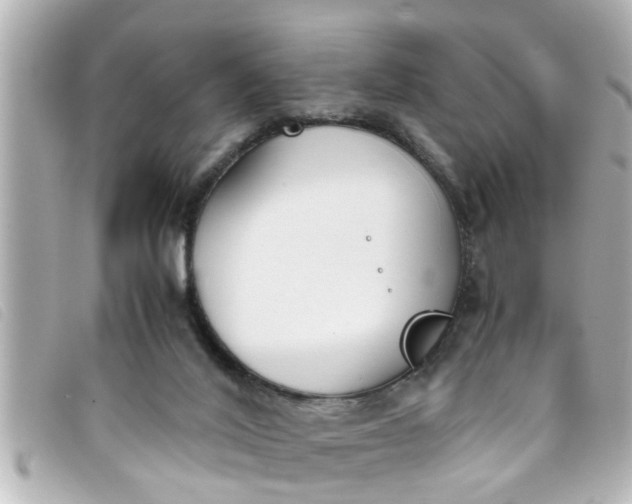 X0000093390020200710251251