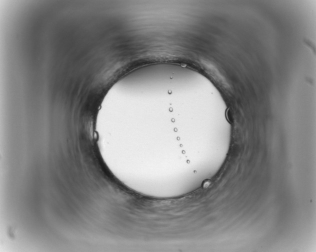 X0000093390021200710251251