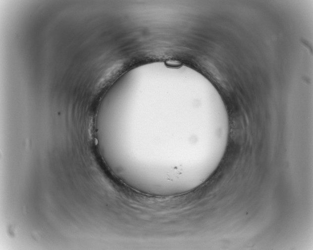 X0000093390023200710251251