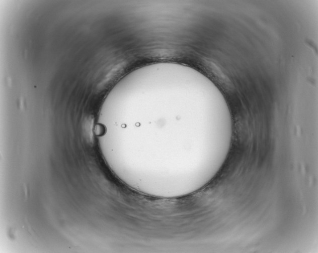 X0000093390024200710251251