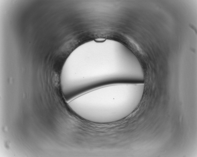 X0000093390025200710251251