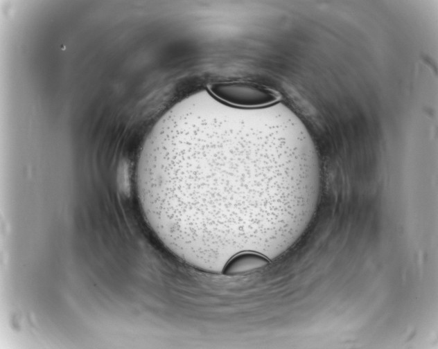 X0000093390026200710251251