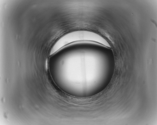 X0000093390027200710251251