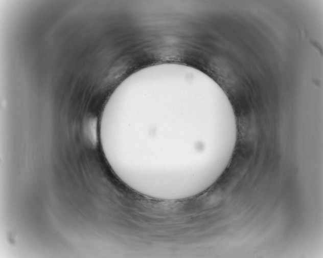 X0000093390028200710251251