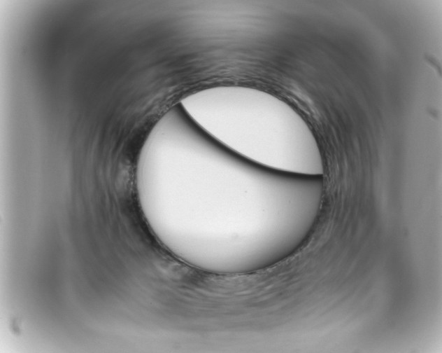 X0000093390029200710251251