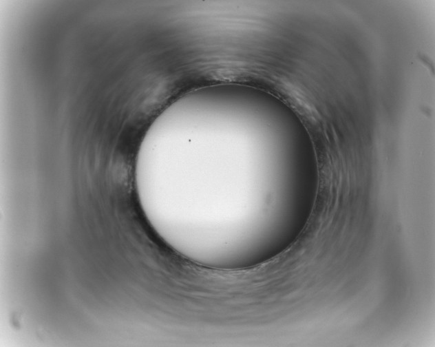 X0000093390031200710251251