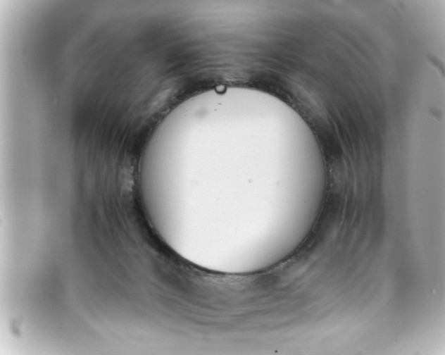 X0000093390032200710251251