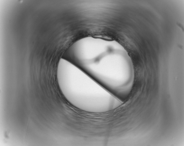 X0000093390033200710251251