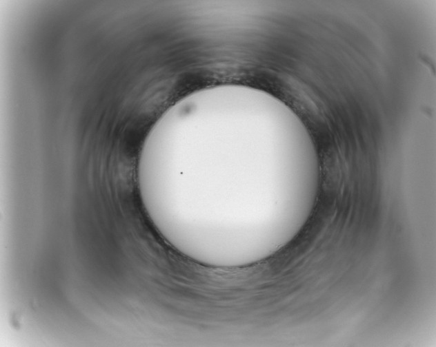 X0000093390034200710251251