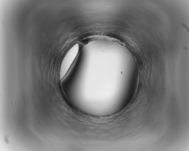 X0000093390035200710251251