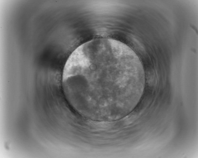 X0000093390036200710251251