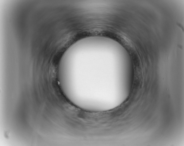 X0000093390037200710251251