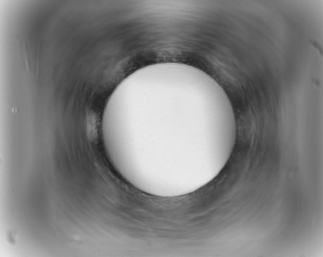 X0000093390038200710251251