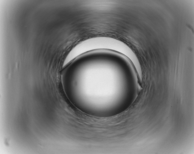 X0000093390039200710251251