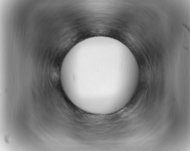 X0000093390040200710251251