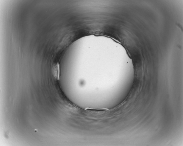 X0000093390041200710251251