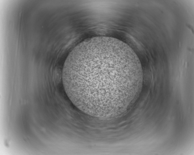 X0000093390043200710251251