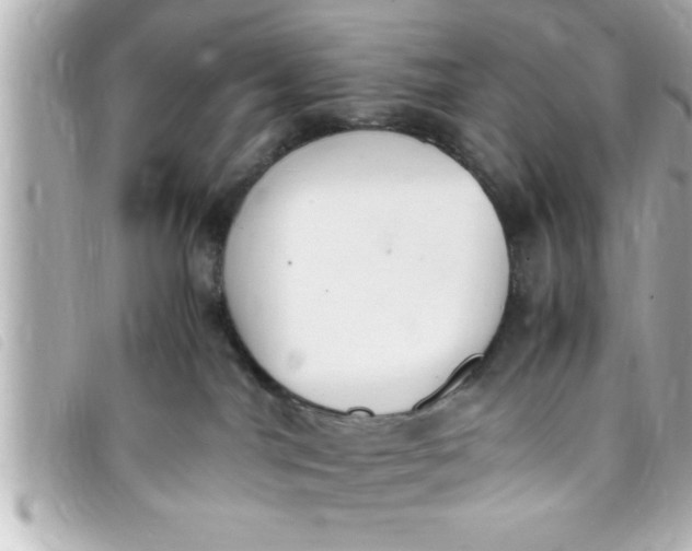 X0000093390044200710251251