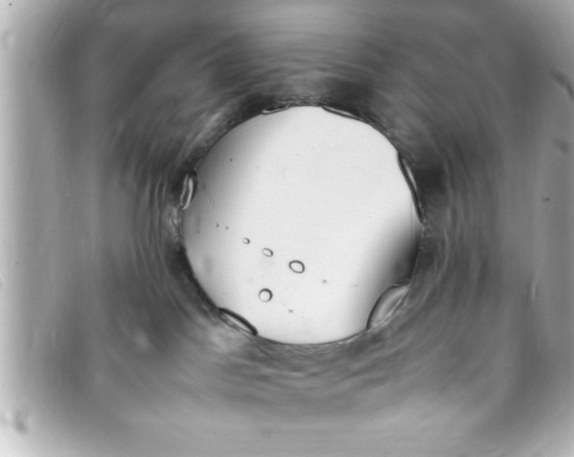 X0000093390045200710251251