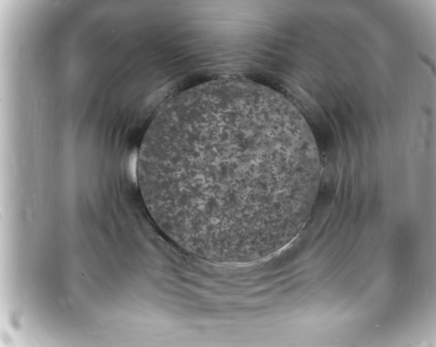 X0000093390047200710251251