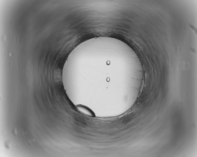 X0000093390048200710251251