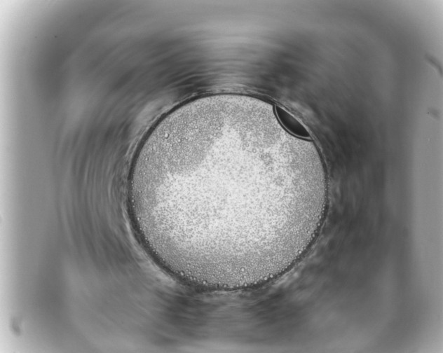 X0000093390049200710251250