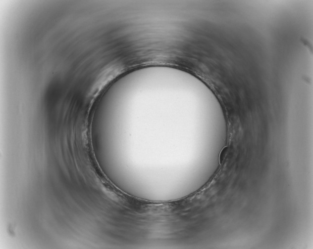 X0000093390050200710251250