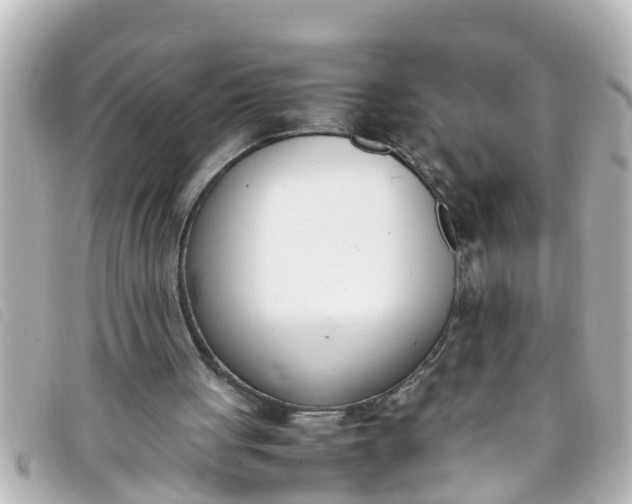 X0000093390051200710251250