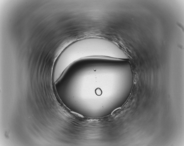 X0000093390052200710251250